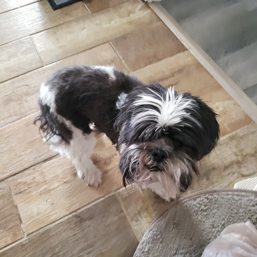 Pet Supply Store «PetSmart», reviews and photos, 2940 Chapel Hill Rd, Douglasville, GA 30135, USA