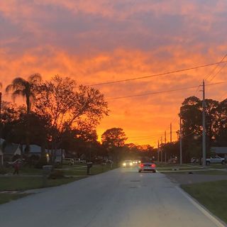 Optician «A1A Optics», reviews and photos, 237 W Cocoa Beach Causeway, Cocoa Beach, FL 32931, USA