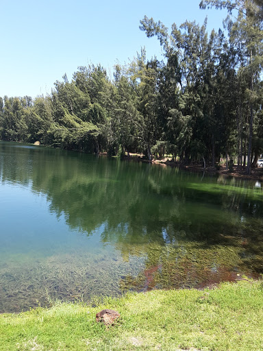 Park «Wolf Lake Park», reviews and photos, 5400 SW 76th Ave, Davie, FL 33314, USA