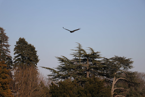 Public Golf Course «Queenstown Harbor Golf Course», reviews and photos, 310 Links Ln, Queenstown, MD 21658, USA