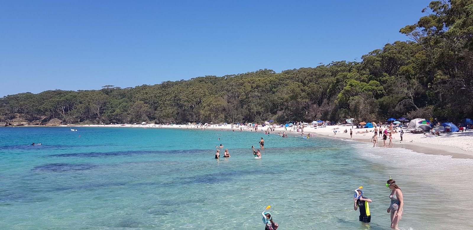 Photo de Murrays Beach situé dans une zone naturelle