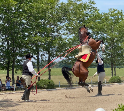 Tourist Attraction «The Tempel Lipizzans», reviews and photos, 17000 W Wadsworth Rd, Old Mill Creek, IL 60083, USA