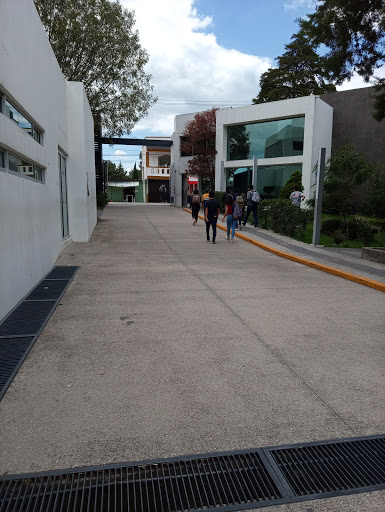 Baccalaureate academy Puebla