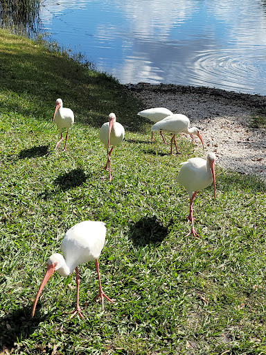 Park «Secret Lake Park», reviews and photos, 200 N Triplet Lake Dr, Casselberry, FL 32707, USA