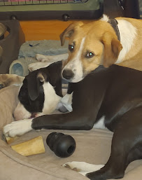 Lisa's Sedan Service - Photo 3 - Car repair in , Detroit