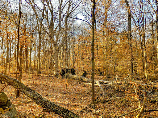 Park «Bechtel Park», reviews and photos, Naamans Rd, Claymont, DE 19703, USA