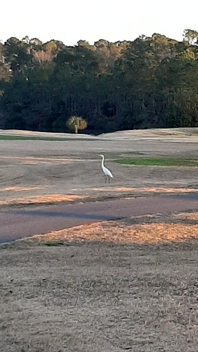 Golf Course «Whispering Pines Golf Course», reviews and photos, 900 Harrelson Blvd, Myrtle Beach, SC 29577, USA