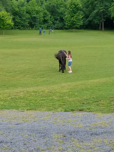 Resort «Smoke Hole Caverns», reviews and photos, 8290 N Fork Hwy, Cabins, WV 26855, USA