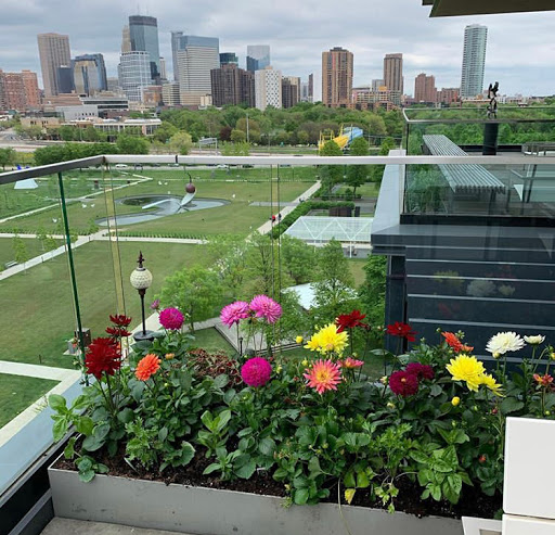 Florist «Arts & Flowers Inc», reviews and photos, 6011 Excelsior Blvd, Minneapolis, MN 55416, USA