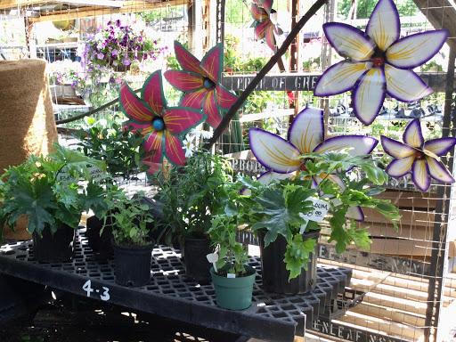 Florist «Sunshine Flowers», reviews and photos, 4509 Rainbow Blvd, Kansas City, KS 66103, USA