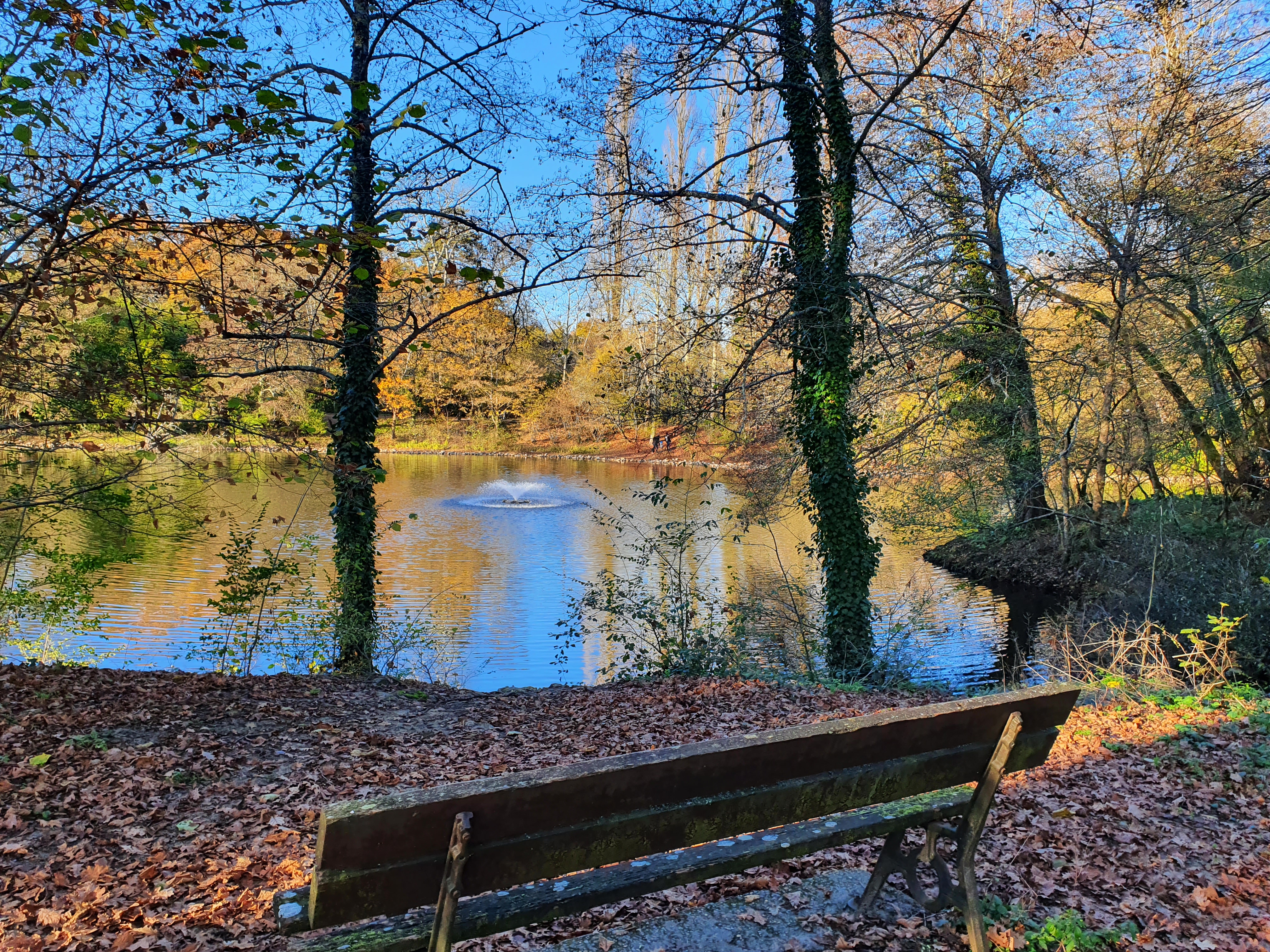 Photo n° 4 de l'avis de Irène.. fait le 29/11/2020 à 15:28