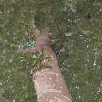 Photo n°6 de l'avis de Christine.e fait le 15/07/2023 à 14:15 sur le  Albergo Ristorante Monte Cucco da Tobia à Val di Ranco