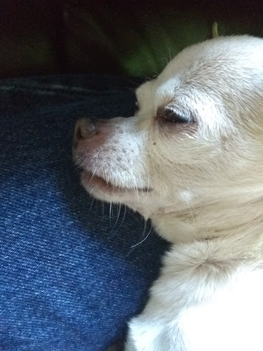 Pet Supply Store «Mounds Pet Food Warehouse», reviews and photos, 5350 King James Way, Fitchburg, WI 53719, USA