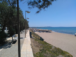 Paralia Kourouta'in fotoğrafı kısmen tatil bölgesi