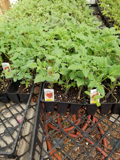 Florist «Lyndhurst Florist», reviews and photos, 5268 Mayfield Rd, Lyndhurst, OH 44124, USA