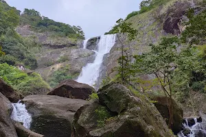 Palaruvi Waterfalls image