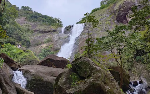 Palaruvi Waterfalls image