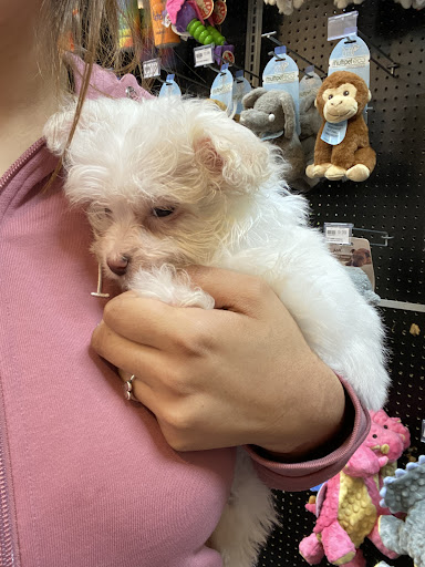 Pet Supply Store «Petland Dallas», reviews and photos, 11909 Preston Rd, Dallas, TX 75230, USA