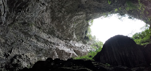 Cueva del salitre