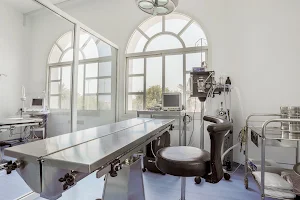 Modern Vet Hospital image