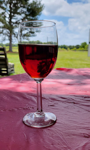 Winery «Strong Tower Vineyard & Winery», reviews and photos, 17810 Forge Dr, Spring Hill, FL 34610, USA