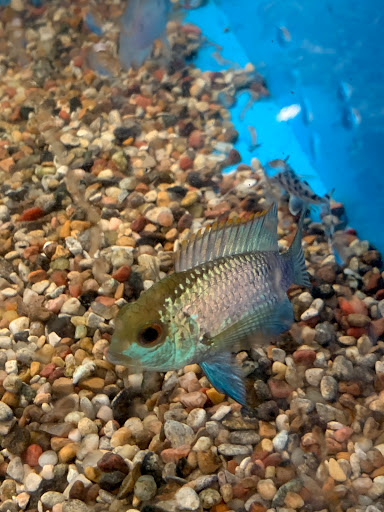 Pet Supply Store «PetSmart», reviews and photos, 4180 US-1, Monmouth Junction, NJ 08852, USA