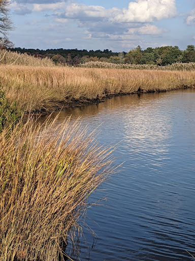 Park «Sweets Knoll State Park», reviews and photos, 1387 Somerset Ave, Dighton, MA 02715, USA