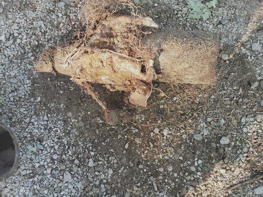 Plumber «Dunnrite Llc», reviews and photos, 2311 Hancock St, Port Huron, MI 48060, USA