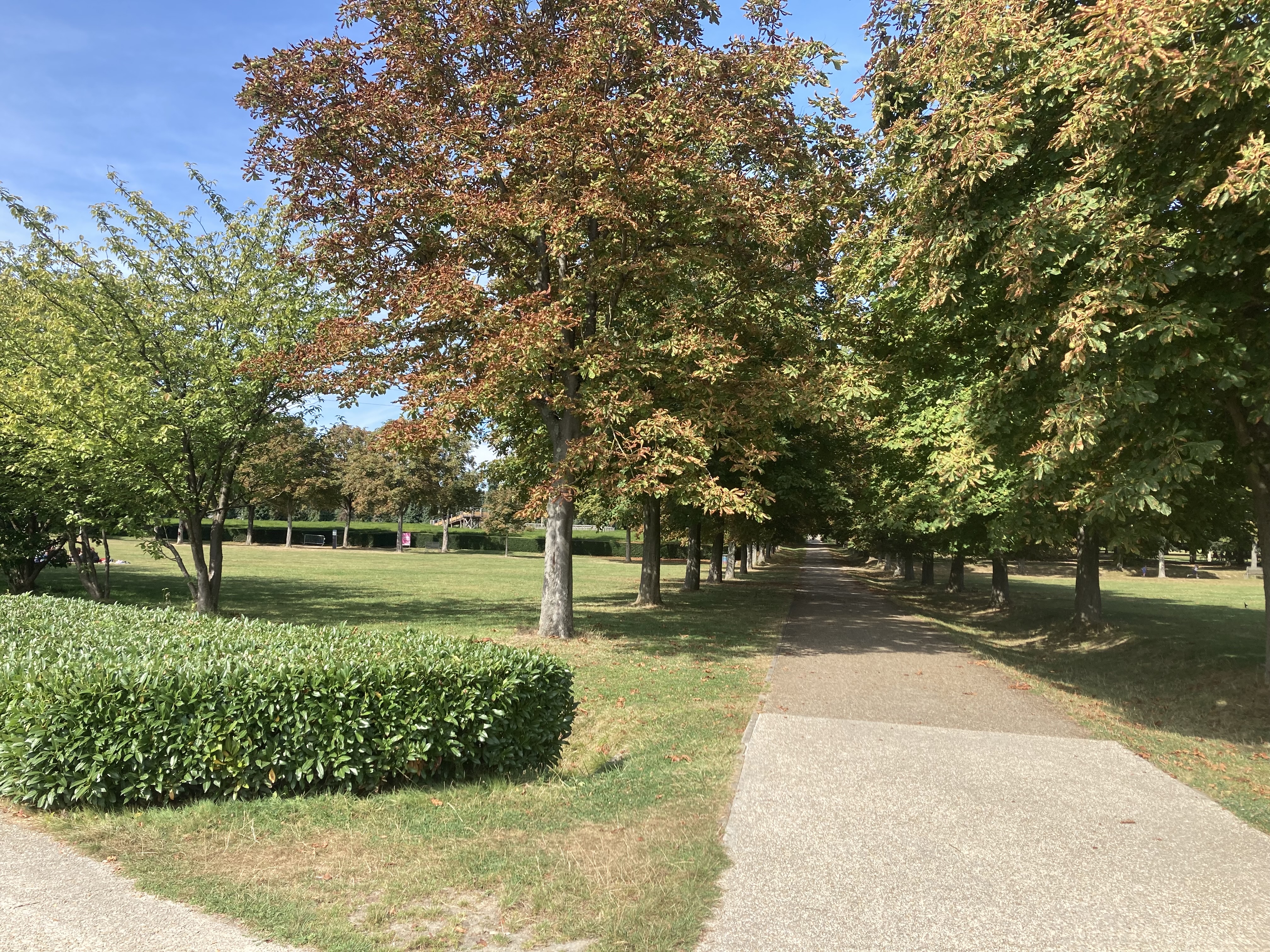 Photo n° 9 de l'avis de Cécile-Laure.H fait le 12/09/2021 à 16:29