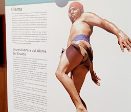 Regional Museum of Sinaloa photo