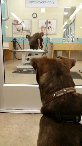 Pet Supply Store «Petco Animal Supplies», reviews and photos, 190 Quality Dr, Hooksett, NH 03106, USA