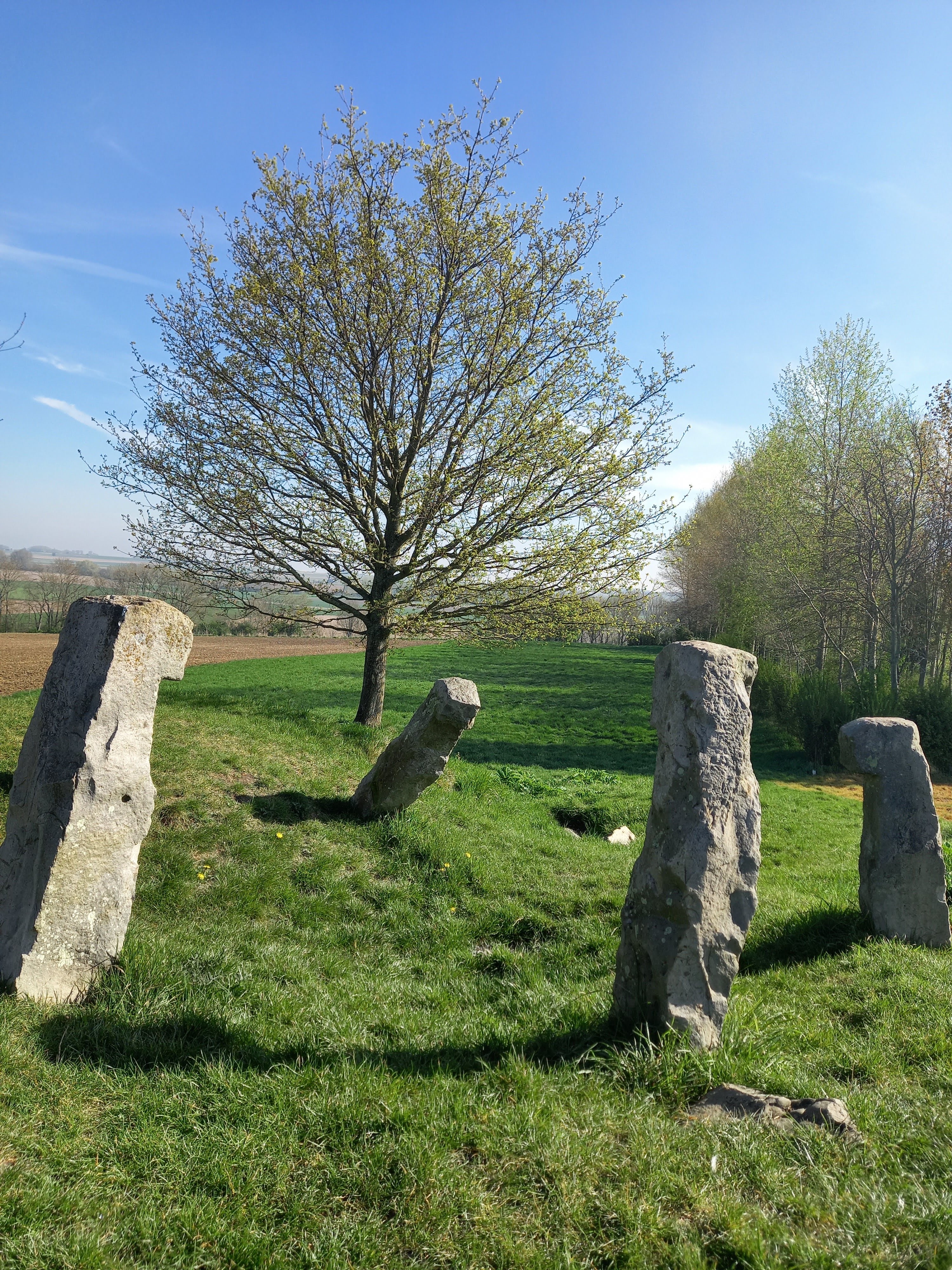 Photo n° 1 de l'avis de Didi.a fait le 22/04/2022 à 17:29