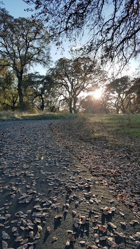 Miniature Golf Course «Roseville Golfland Sunsplash», reviews and photos