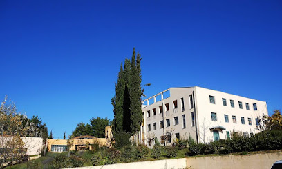 Πανεπιστήμιο Πελοποννήσου