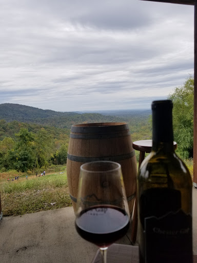 Winery «Chester Gap Cellars», reviews and photos, 4615 Remount Rd, Front Royal, VA 22630, USA