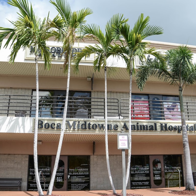 Boca Midtowne Animal Hospital