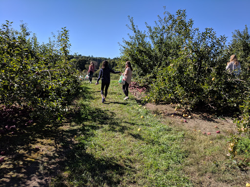 Orchard «George Hill Orchards», reviews and photos, 582 George Hill Rd, South Lancaster, MA 01561, USA