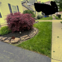 Tino’s Lawn Care - Photo 5 - Car repair in , Cleveland
