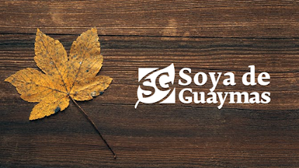 Soya De Guaymas (Centro)