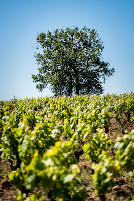 Bonnet-Huteau à La Chapelle-Heulin