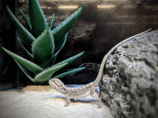 Pet Supply Store «Petco Animal Supplies», reviews and photos, 45205 Worth Ave, California, MD 20619, USA