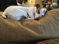 Bogga’s Home Away From Home - Photo 1 - Car repair in , Spring Valley