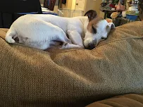 Bogga’s Home Away From Home - Car repair in , Spring Valley - Rated 0.0/5