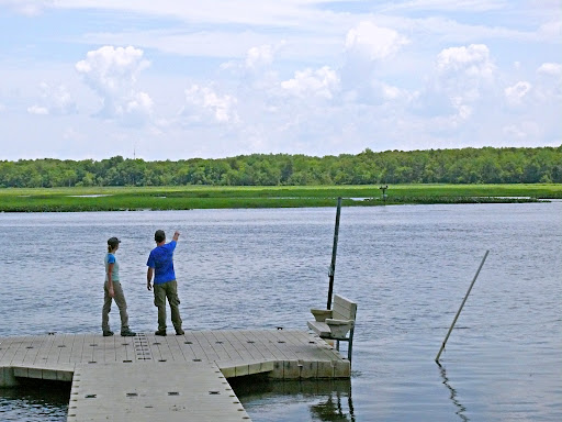 Nature Preserve «Maurice River Bluffs Preserve», reviews and photos, Silver Run Rd, Millville, NJ 08332, USA