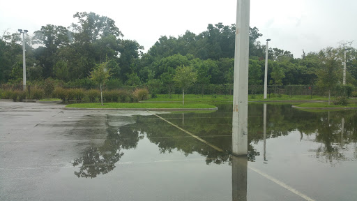 Discount Store «Dollar General», reviews and photos, 5635 FL-674, Wimauma, FL 33598, USA