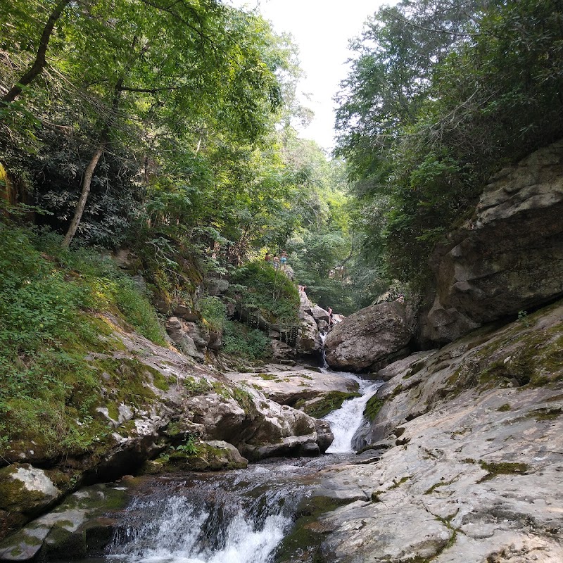 Laurel Creek Falls