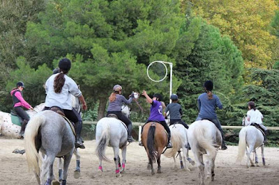 Centre Equestre de Mirepeisset à Mirepeisset