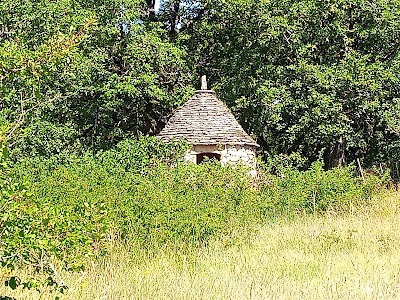 Dolmen de Peyrelongue à Corn
