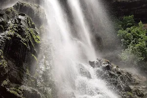 Pogila waterfalls image