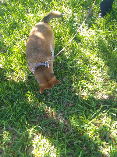 Casino «Hialeah Park», reviews and photos, 2200 E 4th Ave, Hialeah, FL 33013, USA